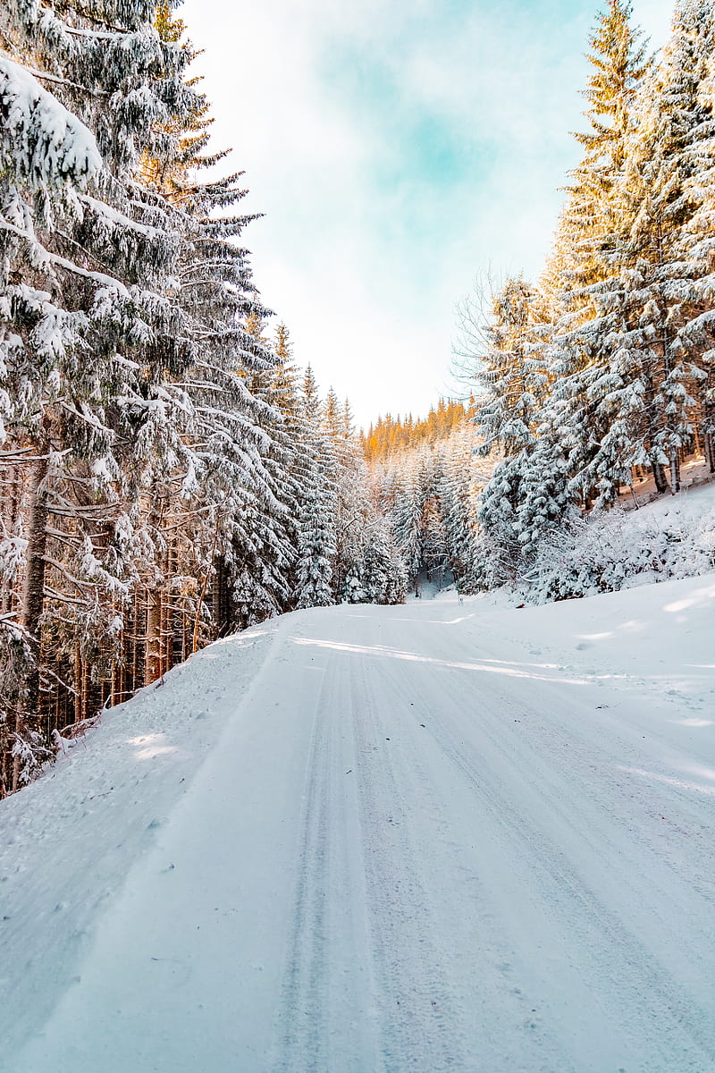 forest, winter, snow, road, sky, nature, winter landscape, HD phone wallpaper