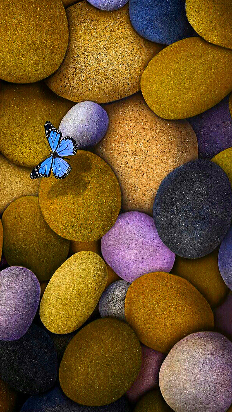 stones, butterfly, color, colorful, nature, pebble, stone, HD phone wallpaper