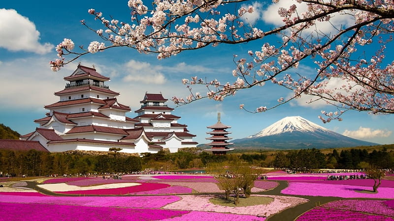 Aizuwakamatsu Castle, japanese, spring, cherry blossom, mountain, japan, garden, nature, scenery, castle, fuji, HD wallpaper