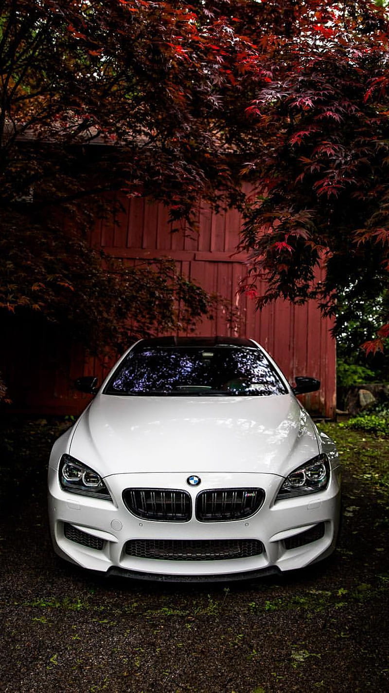 BMW M6, bmw, car, coupe, f13, front, m power, m6, vehicle, HD phone  wallpaper | Peakpx