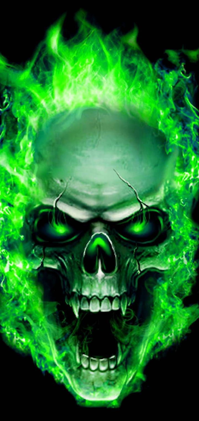 Ronaldo kancev on Кaлоян.к. Skull , Skull artwork, Skull, Ghost Rider Skull, HD phone wallpaper