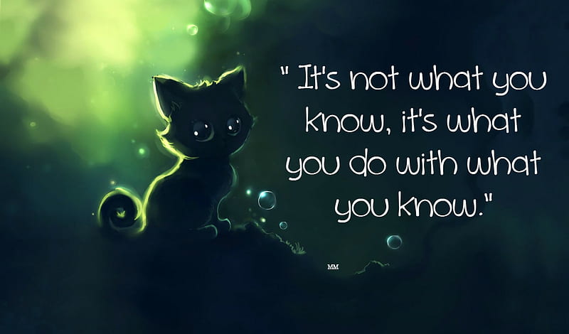 What You Know, Words, Sayings, Cat, Thoughts, Animals, Quotes, HD wallpaper