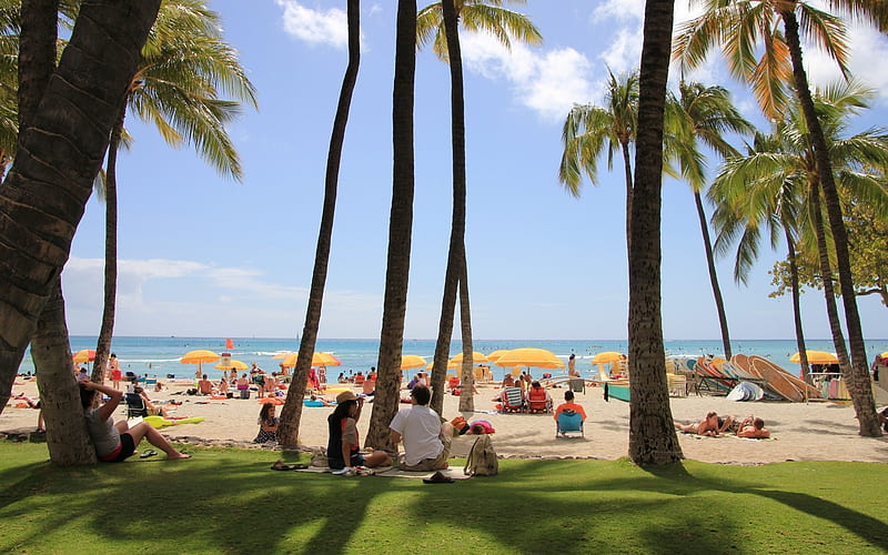 Waikiki Beach Hawai Resort Umbrellas Beach People Ocean Palms Hd Wallpaper Peakpx