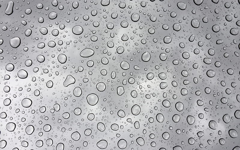 drops on glass, close-up, water drops, gray backgrounds, water backgrounds, drops texture, background with water drops, water, drops on gray background, water drops texture, HD wallpaper