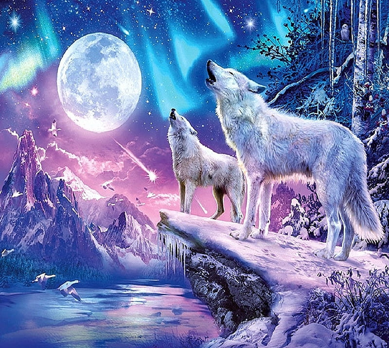 Cute Galaxy Wolf Wallpapers  Top Free Cute Galaxy Wolf Backgrounds   WallpaperAccess