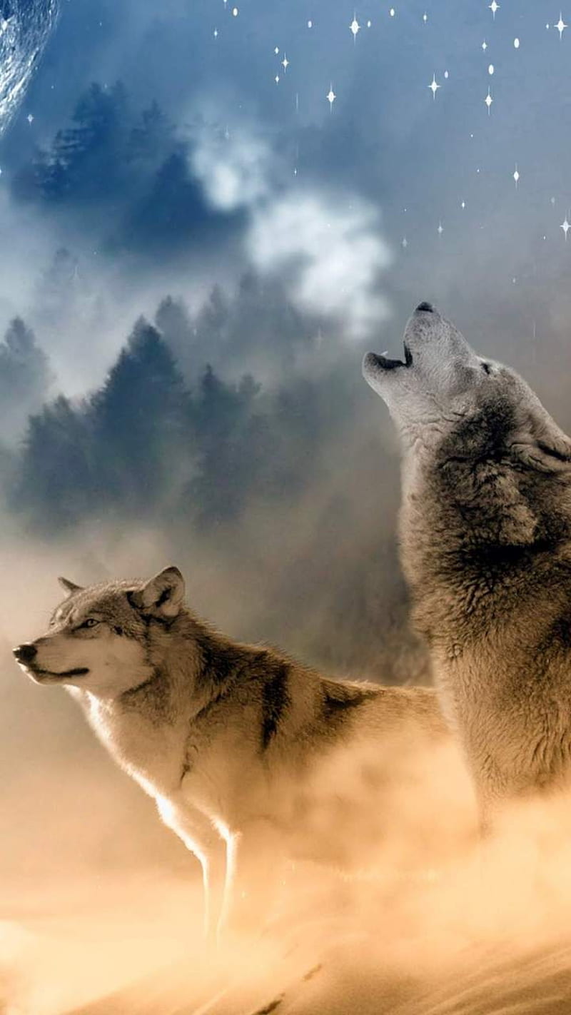 TWO WOLVES