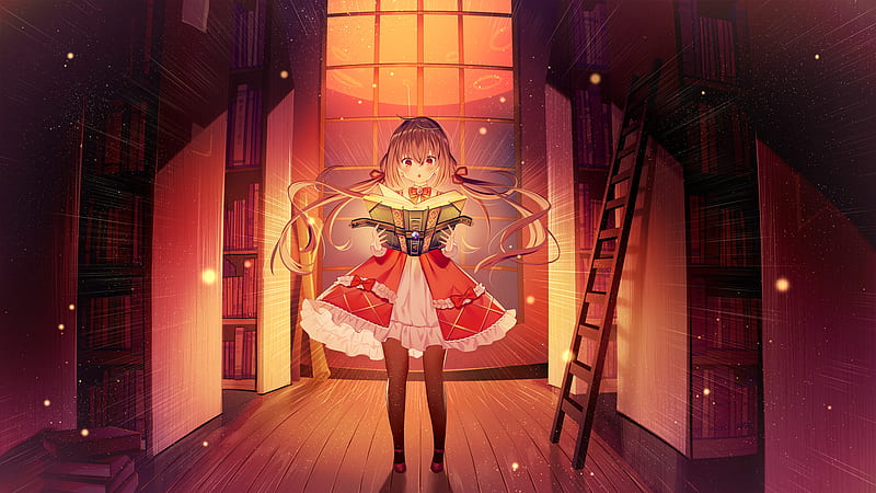 Anime, Girl, Book, Brown Hair, Library, Long Hair, HD wallpaper