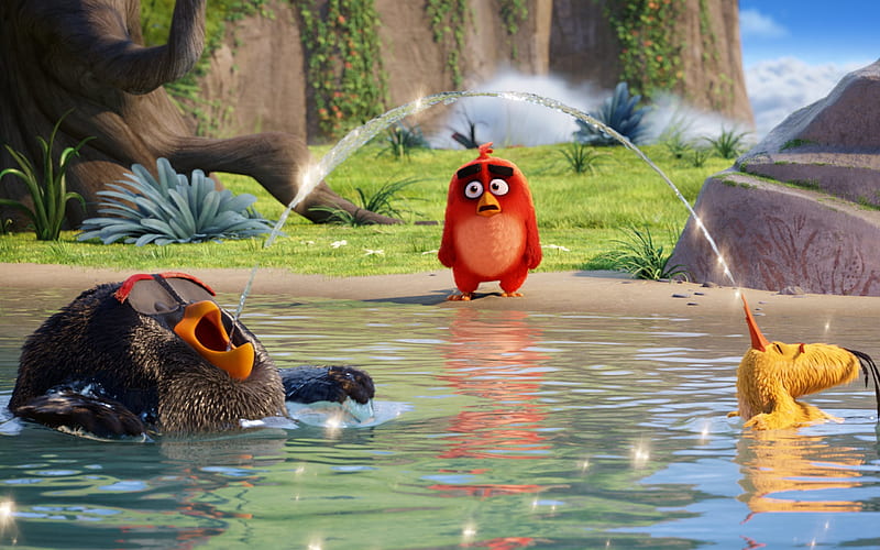 The Angry Birds Movie Latest, angry-birds, birds, movies, animated-movies,  2016-movies, HD wallpaper | Peakpx