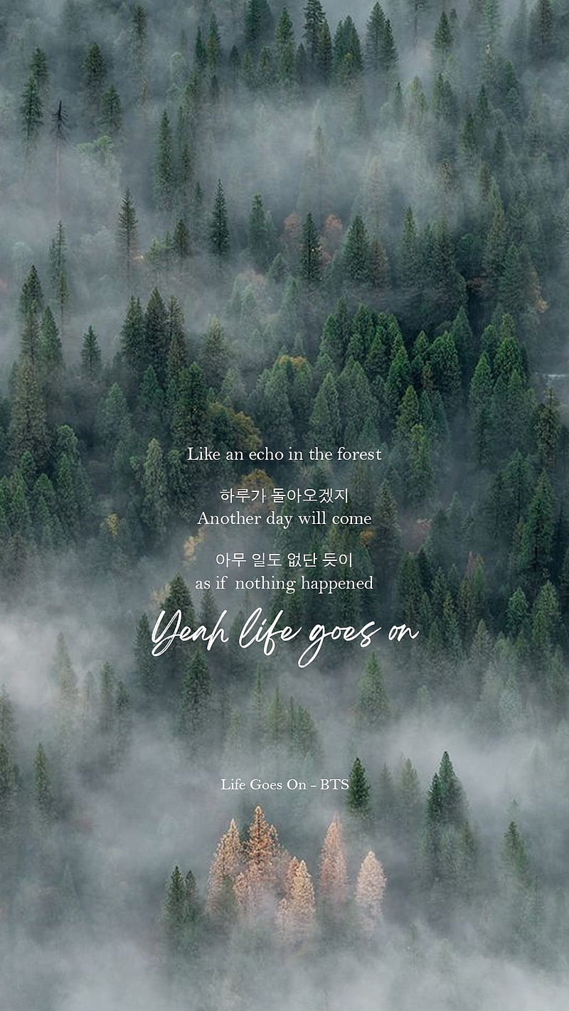 BTS Lyrics ⁷ / Twitter, BTS Lyric Quotes, HD phone wallpaper