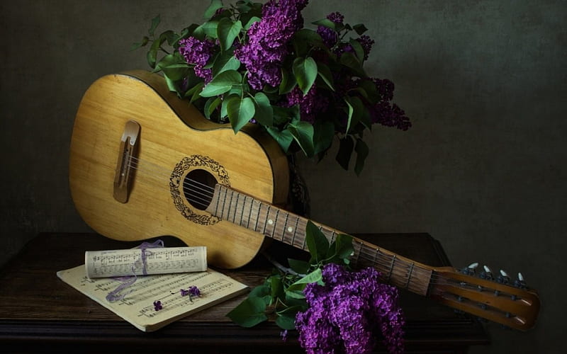 sweet melody, flower, guitar, sheet, music, HD wallpaper