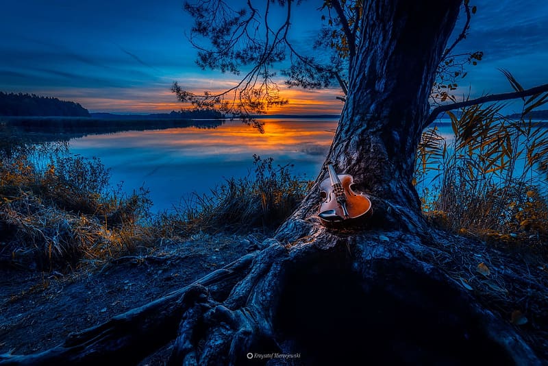 Violin under the tree in the dark, violin, sunset, lake, tree, beautiful, lonely, summer, darkness, music, reflection, romantic, evening, HD wallpaper