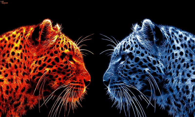 Neon Animal Wallpapers  Top Free Neon Animal Backgrounds  WallpaperAccess