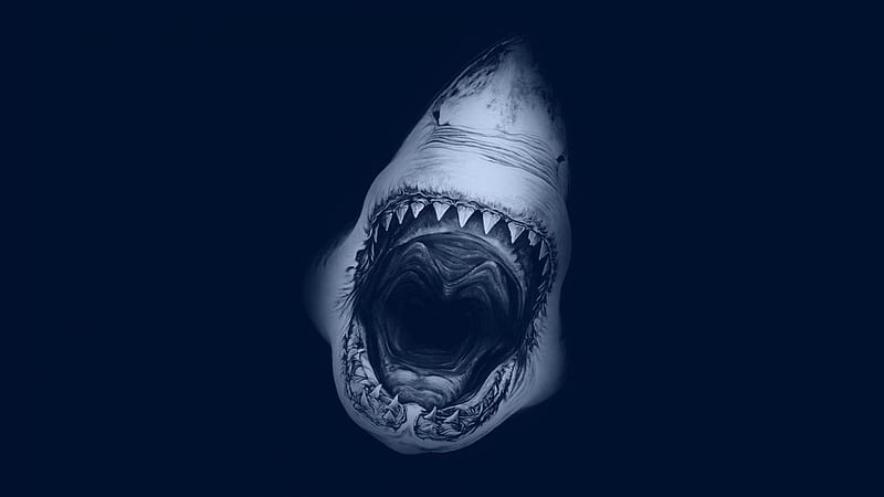 Jaws, shark, fish, animal, HD wallpaper