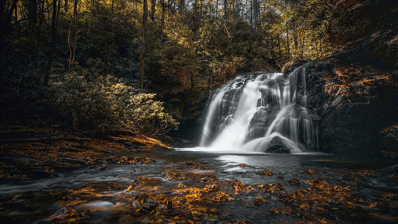 Ravencliff Falls, North Georgia, river, autumn, cascades, trees, forest, pond, usa, HD wallpaper