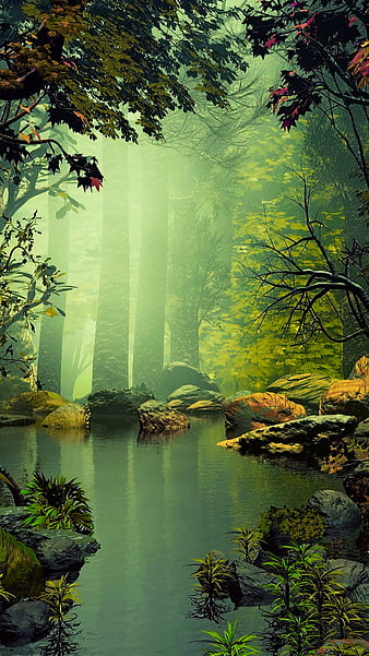 Mountain Forest Wallpapers  Top Free Mountain Forest Backgrounds   WallpaperAccess