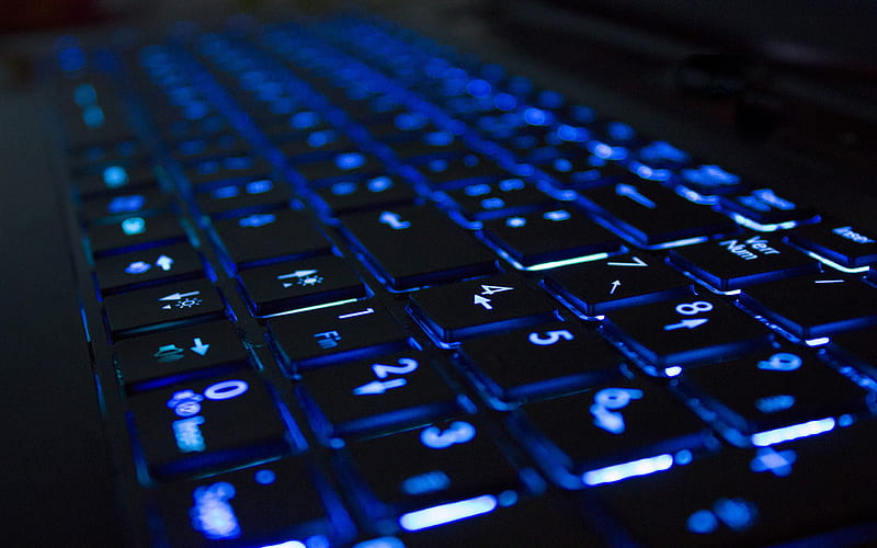 Keyboard, blue, computer, light, HD wallpaper