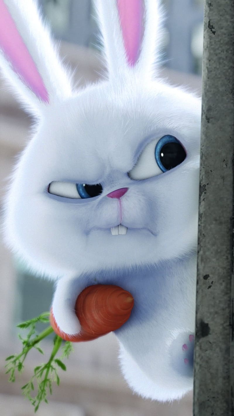 Snowball Rabbit, angry, rabbit, anime, HD phone wallpaper