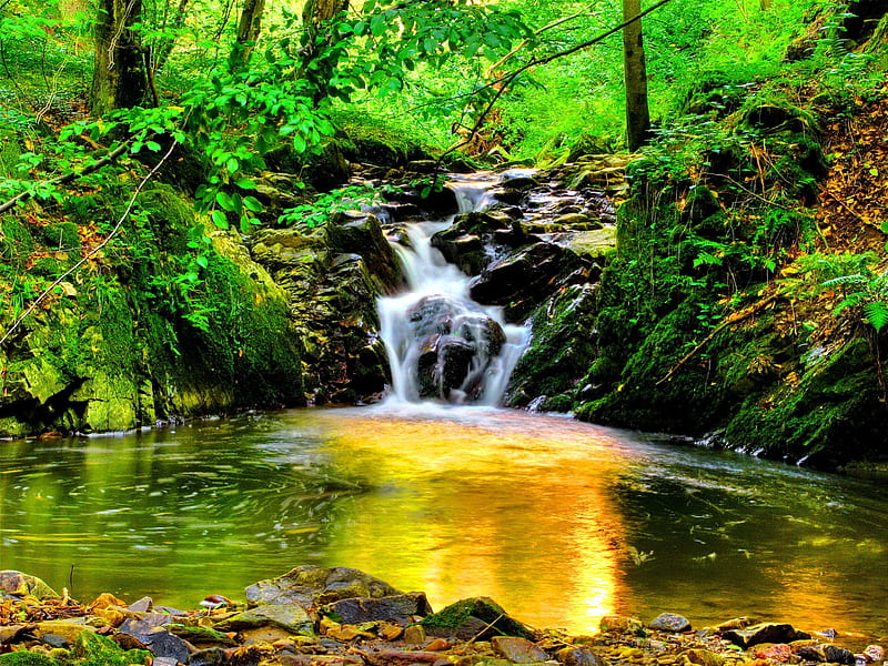 2K free download | Forest stream, stream, fall, rocks, grass, falling ...
