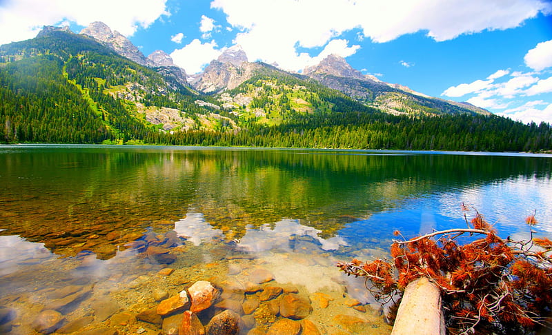 Summer In Grand Teton, mountain, forest, crystal clear water, National ...