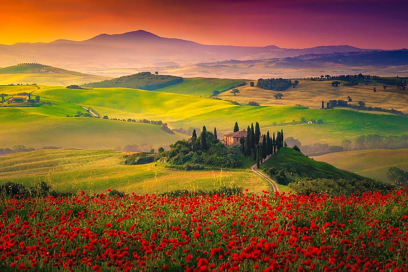 Tuscany, view, sky, meadow, Italy, hills, beautiful, poppies, summer, flowers, sunset, HD wallpaper