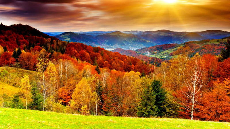 Colorful Autumn Leafed Trees With Sunrays And Landscape View Of Mountains Nature, HD wallpaper