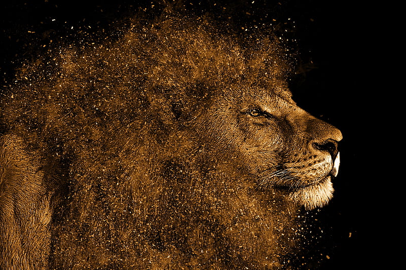 Lion Art , lion, animals, HD wallpaper