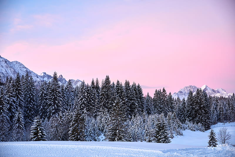 mountains, trees, pink, snow, HD wallpaper