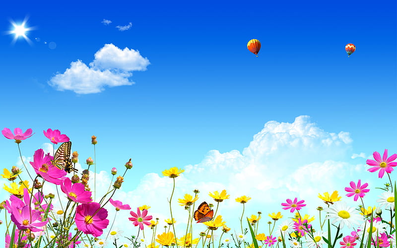 Beautiful Flowers, pretty, colorful, bonito, clouds, nice, butterfly, splendor, flowers, blue, lovely, view, colors, hot air balloons, butterflies, spring, sky, daisies, balloon, hot air balloon, fantasy landscape, balloons, peaceful, nature, daisy, landscape, HD wallpaper