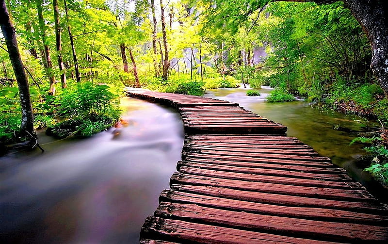 wooden walkway, water, river, trees, bridge, HD wallpaper