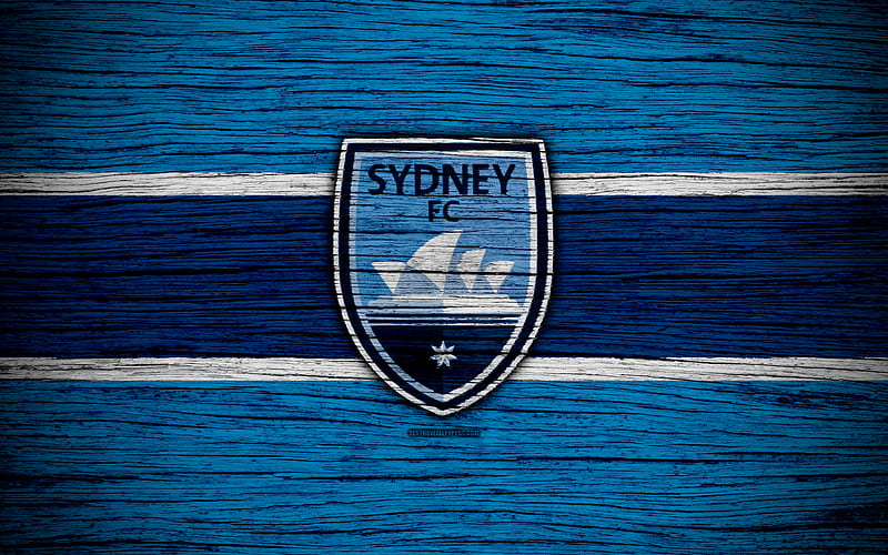 Sydney FC soccer, A-League, football club, Australia, Sydney, logo, wooden texture, FC Sydney, HD wallpaper