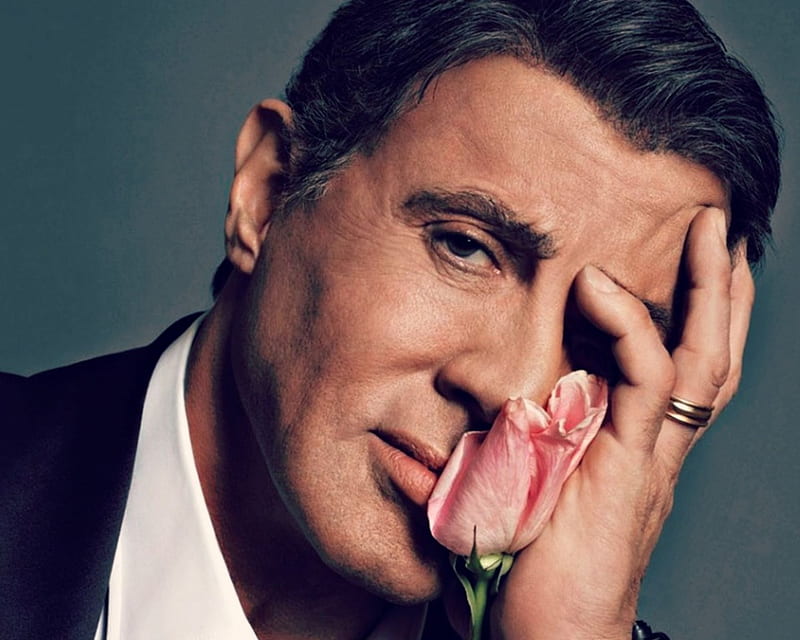 Sylvester Stallone, male, man, barbat, flower, face, pink, actor, blue, HD wallpaper