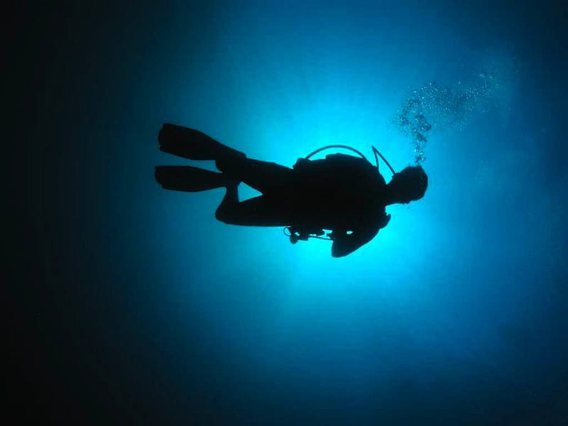 Scuba Diver, graphy, shadow, silhouette, creative, scuba diving, blue, HD wallpaper