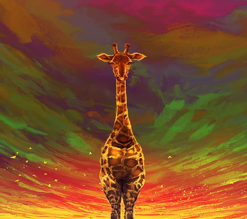 Giraffe, colourful, sky, HD wallpaper