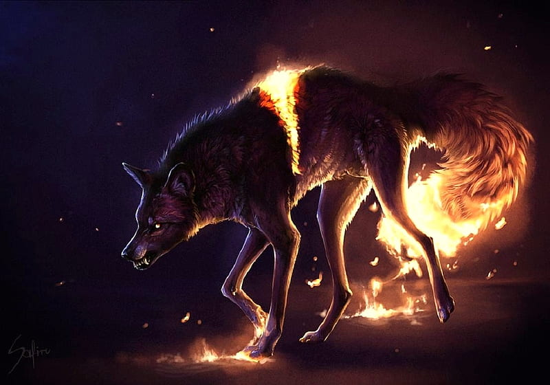 'Wrath'......., mystical, fire, dark, wrath, wolf, animals, HD wallpaper