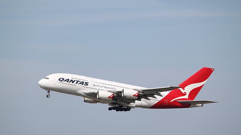 Qantas Airbus A380, A380, Plane, Transport, Qantas, Airbus, HD wallpaper