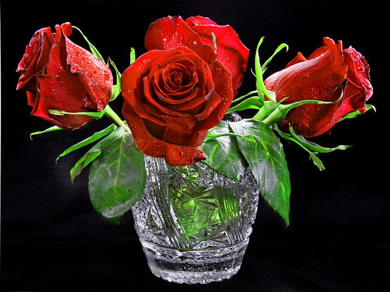 Roses, red, pretty, lovely, vase, bonito, nice, bouquet, black background, flowers, harmony, HD wallpaper