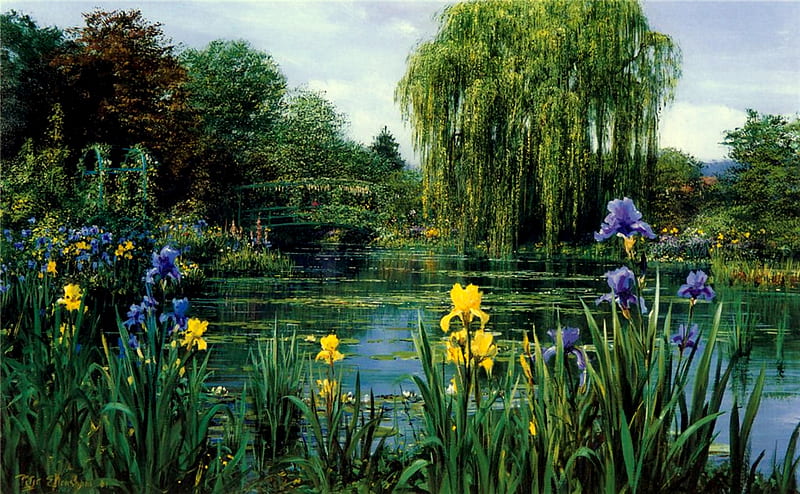 Willow Lake, weeping willow tree, bridge, flowers, trees, lake, iris, HD wallpaper