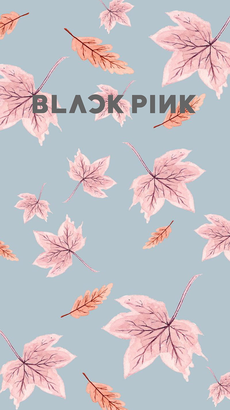 Blink wallpaper BLACK PINK  Creative instagram stories Wallpaper Black  pink