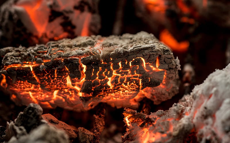fire, bonfire, charcoal, coal smoldering, HD wallpaper