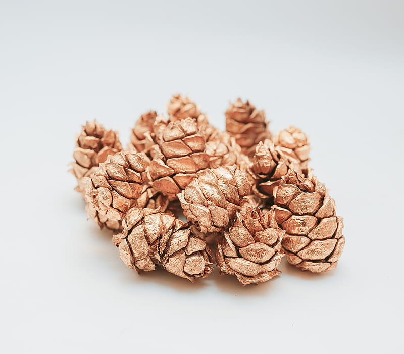 brown pine cone on white surface, HD wallpaper