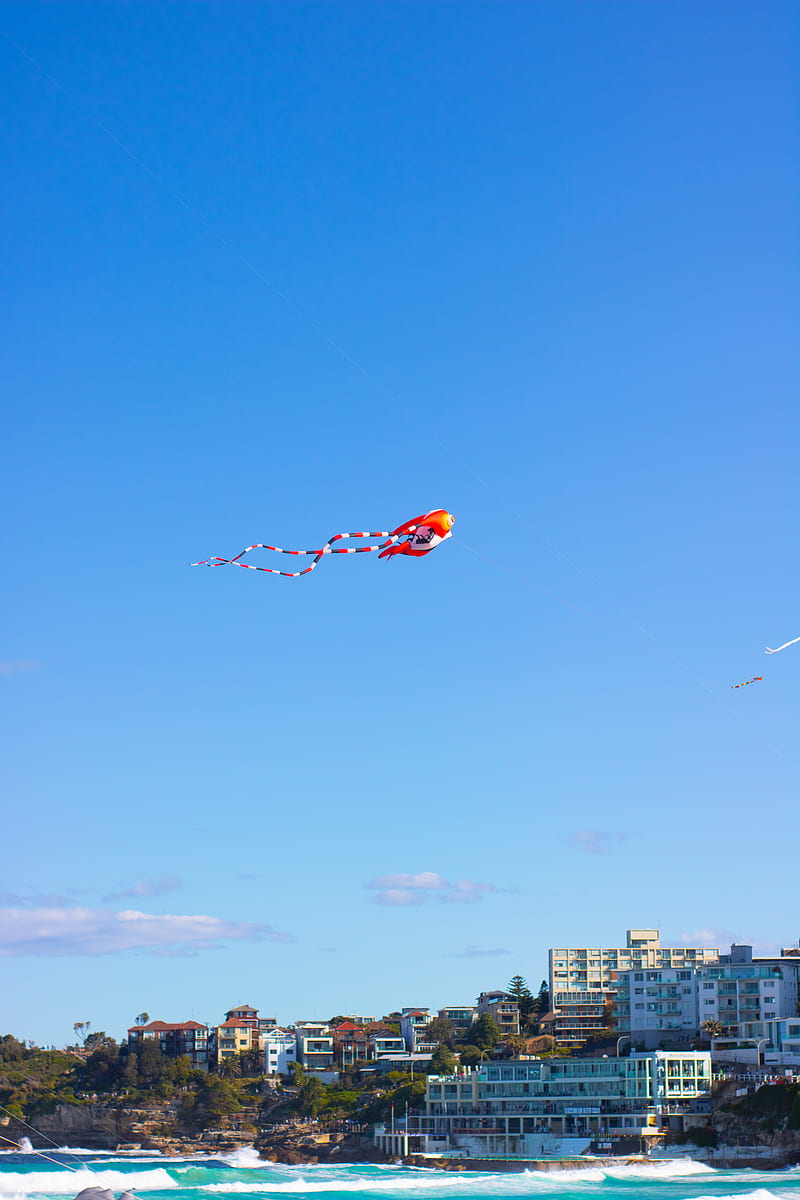 orange and yellow kite flying over city buildings during daytime, HD phone wallpaper