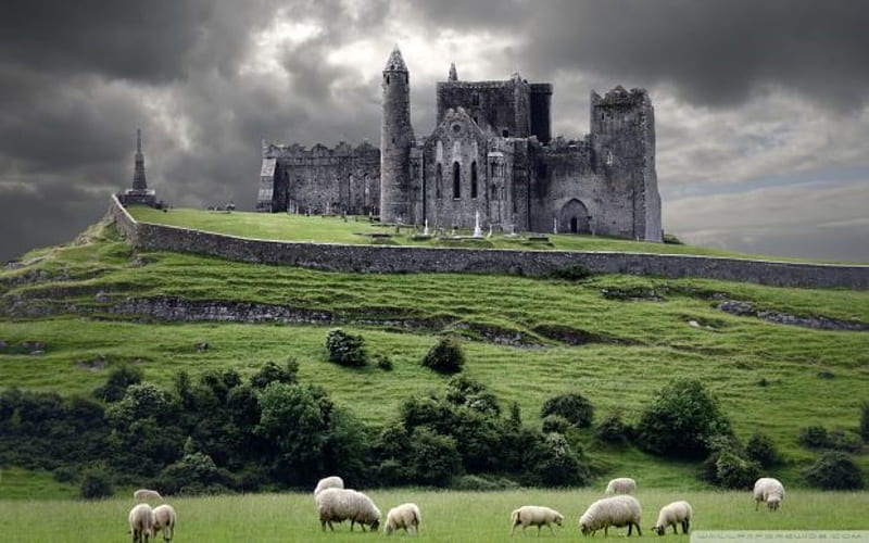green fields, irish, farm, sheep, castle, HD wallpaper