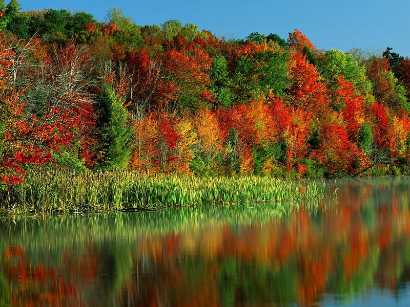 autumn's glory, colors, autumn, lake, many, HD wallpaper