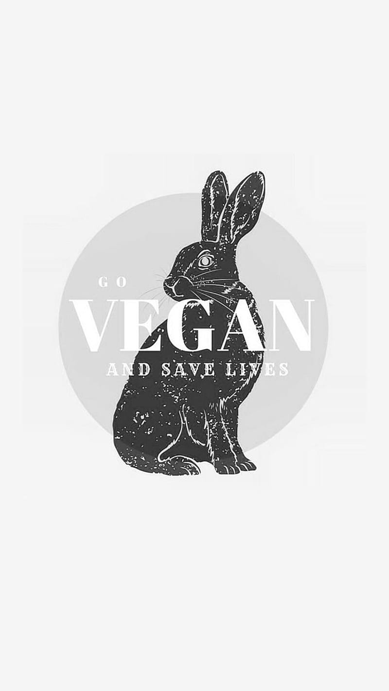 Vegan Bunny, conejo, minimalist, rabbit, vegano, vegetarian, vegetariana, vegetariano, vegin, HD phone wallpaper