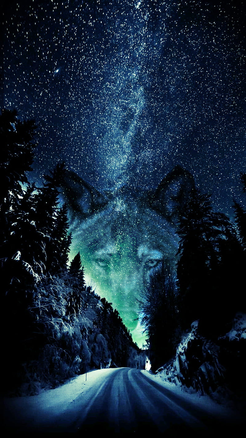 wolfs mountain, galaxy, haunted, kurt, space, star, turk, wolf, HD phone wallpaper