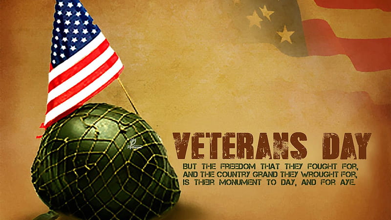 The dom That They Fought For And The Country Grand They Wrought For Veterans Day, HD wallpaper