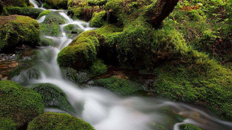 Waterfall Stream In Between Green Algae Covered Rocks Nature, HD wallpaper
