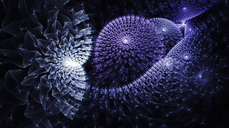Purple Fractal Round Ball Shape Abstract, HD wallpaper