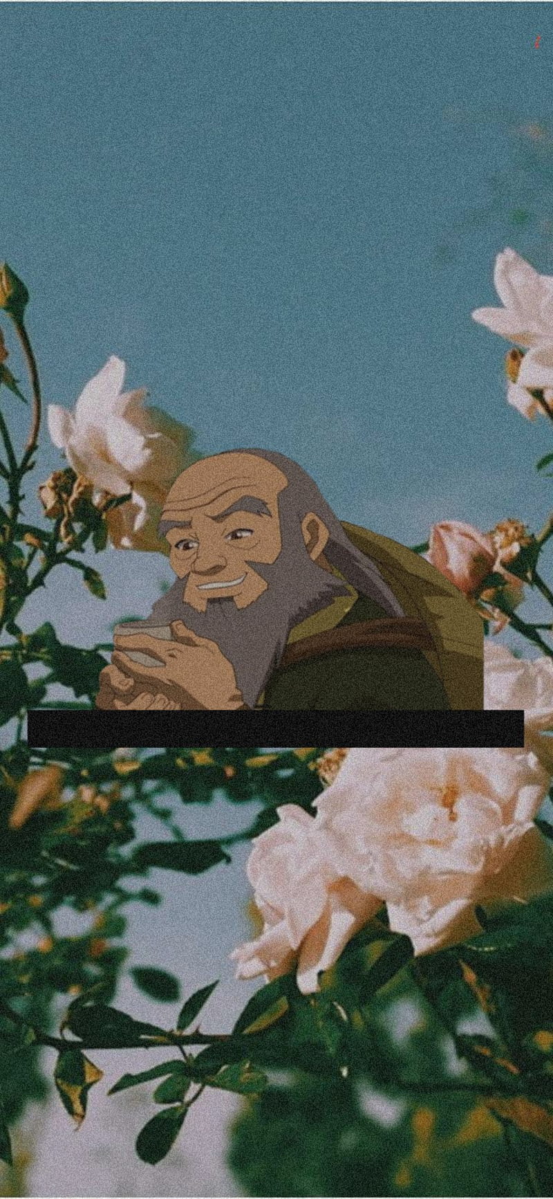 Uncle Iroh Aesthetic, aesthetic, avatar, uncle iroh, HD phone wallpaper