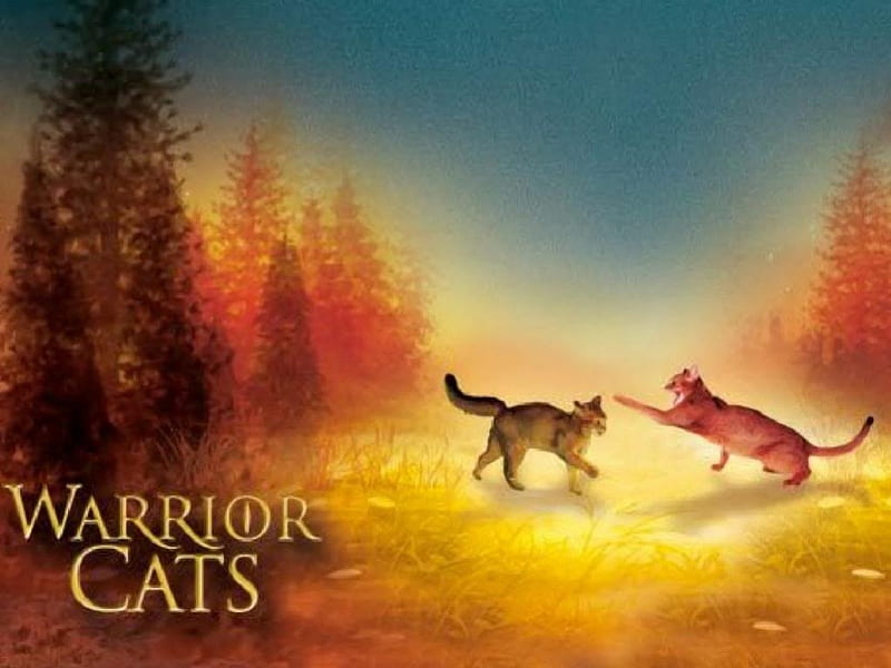 Warrior Cats!, books, warrior cats, pets, kits, cats, animals, HD wallpaper